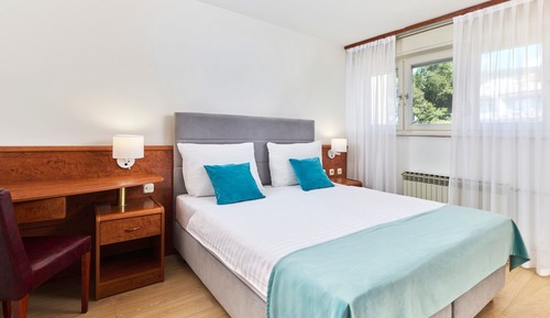 Standard double room