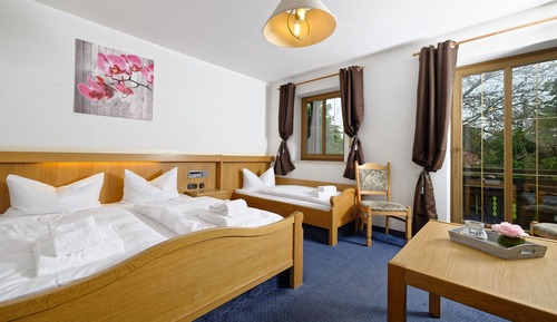 Basic Triple Room