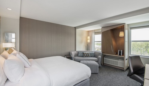 Room, 1 King Bed with Sofa bed