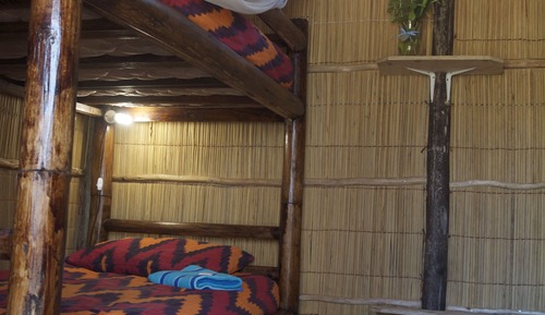 Basic Shared Dormitory, Women only, Pool View, Poolside (4 pax)