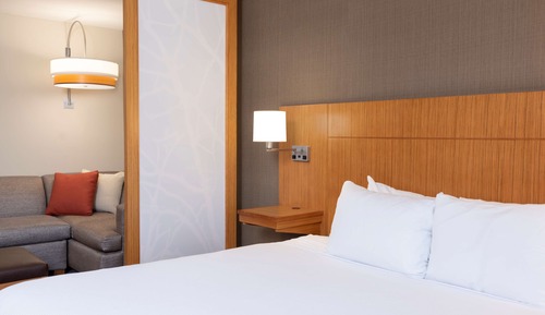 Room, 1 King Bed with Sofa bed