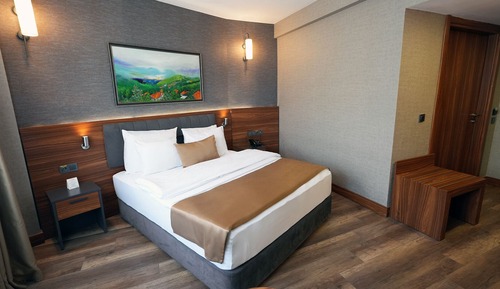 Superior Double Room, 1 Queen Bed, Accessible, Non Smoking