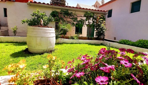 Apartment, Terrace