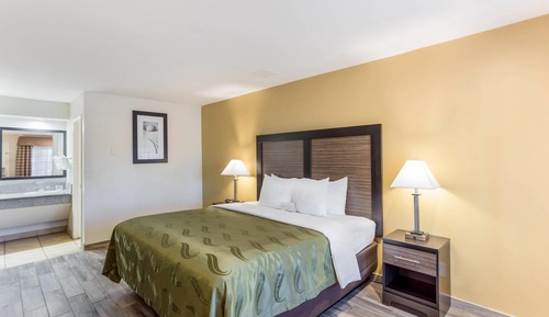 Standard Room, 1 King Bed, Accessible, Non Smoking (Roll-In Shower)