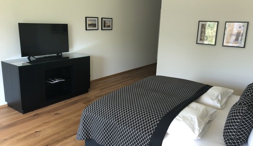 Junior Suite (Suite No.3)