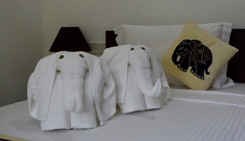 Standard Single Room