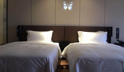 Executive Twin Room