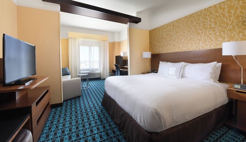 Suite, 1 King Bed with Sofa bed