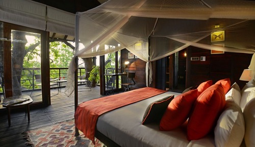 Luxury Tree House, 1 King Bed, Non Smoking