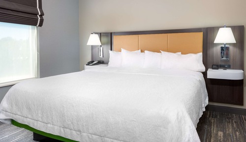 Studio, 1 King Bed, Accessible (Mobility & Hearing, Roll-in Shower)