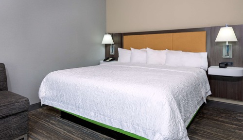 Room, 1 King Bed, Refrigerator