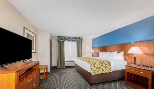 Suite, 1 King Bed, Non Smoking (Mobility, Roll-In Shower)
