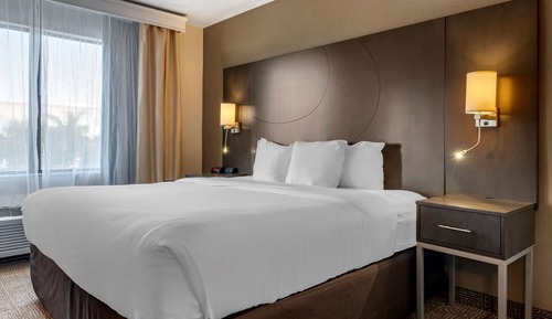 Suite, 1 King Bed with Sofa bed, Accessible, Non Smoking