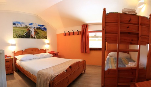Basic Double Room