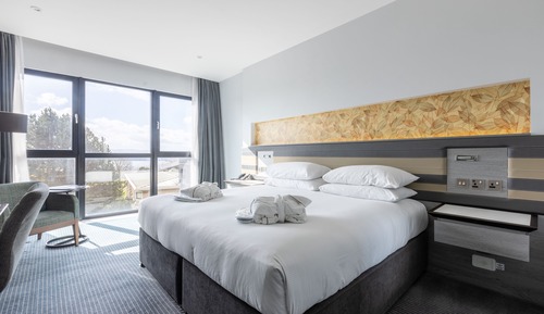 Deluxe Room, 1 King Bed