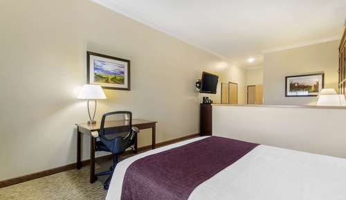 Standard Room, 1 Queen Bed, Accessible, Refrigerator & Microwave