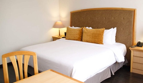 Room, 1 King Bed