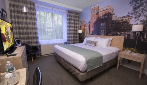 Room, 1 King Bed