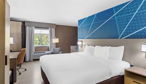 Standard Room, 1 King Bed, Non Smoking, Hot Tub