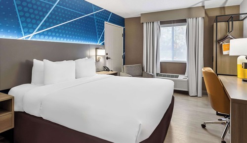Room, 1 Queen Bed, Accessible, Non Smoking (Roll-In Shower)