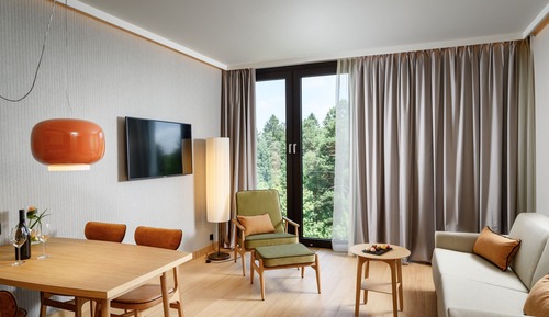 Business Room, 1 Queen Bed, Garden View