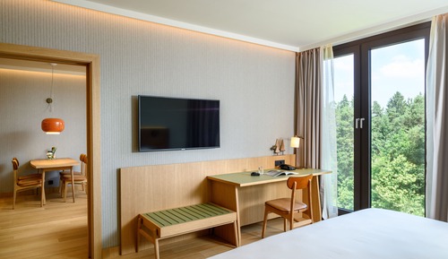 Business Suite, 1 Bedroom, Non Smoking