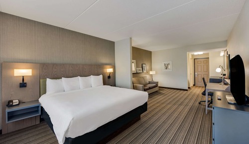 Room, 1 King Bed, Non Smoking