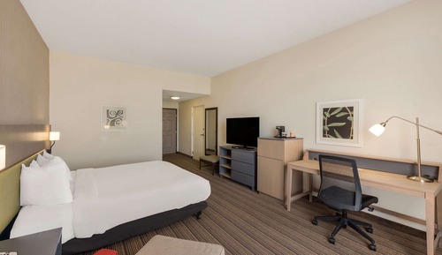 Room, 1 King Bed, Non Smoking (Rollin Shower)