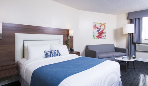 1 Queen bed, carpet