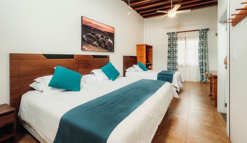 Superior Room, Pool View