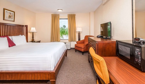 Room, 1 King Bed, Non Smoking