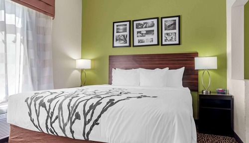 Suite, 1 King Bed