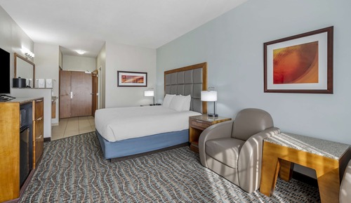 Standard Room, 1 King Bed, Non Smoking, Refrigerator & Microwave