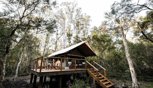 Superior Tent, Multiple Beds, Resort View