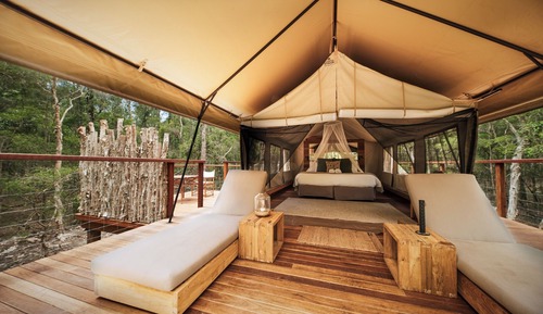 Deluxe Tent, 1 King Bed, Resort View