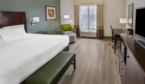 Standard Room, 1 King Bed, Accessible, Non Smoking