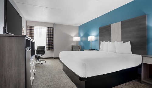 Standard Room, 1 King Bed, Non Smoking, Refrigerator & Microwave (Pet Friendly)