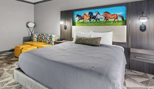 Suite, 1 King Bed, Accessible, Refrigerator & Microwave (with Sofabed)