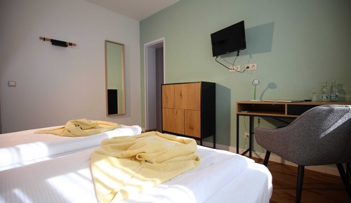 Business Double Room Single Use, Non Smoking