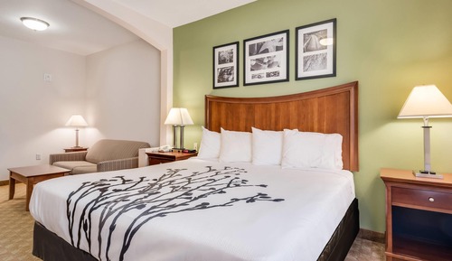 Standard Room, 1 King Bed, Non Smoking