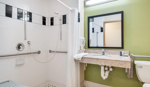 Room, 1 King Bed, Accessible, Non Smoking (Roll-In Shower)