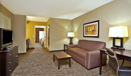 Suite, 1 King Bed, Roll-in Shower (Communications)
