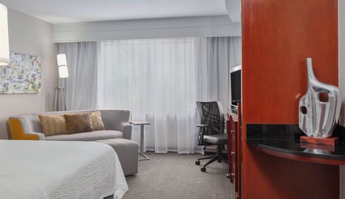 Room, 1 King Bed with Sofa bed