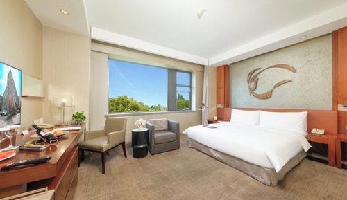 Premier Room