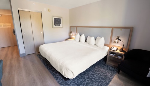 Room, 1 King Bed (Mobility Accessible, Tub)