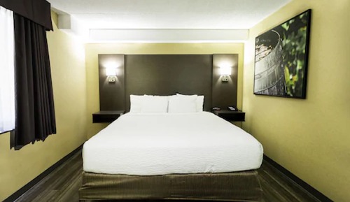 Room, 1 King Bed