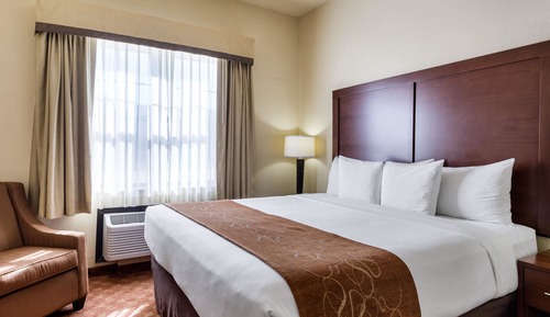 Suite, 1 King Bed with Sofa bed, Accessible, Non Smoking