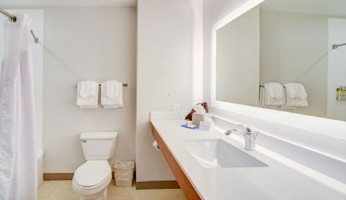 Standard Room, 1 King Bed, Accessible (Communications, Roll-In Shower)