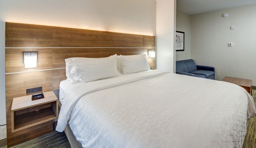 Suite, 1 King Bed, Accessible (Mobility, Roll-In Shower)