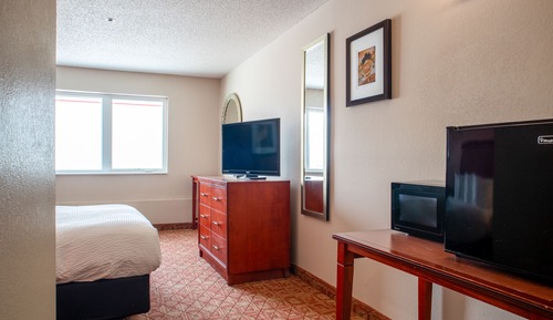Standard Room, 1 Queen Bed (One Queen Bed and Sofa Sleeper)